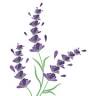 Potter Creek Lavender