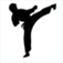 Power Karate SE