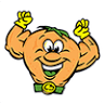 Citrusolution Carpet Cleaning of Paulding County
