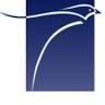 Premier Accounting Services