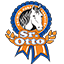 Sr. Otto Premios