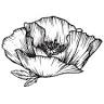 Pretty Poppy Flower Design