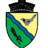 Primaria Cotofenii din Fata