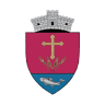 Primăria Petrăchioaia
