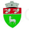 Primăria Carașova