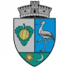 Primăria Ernei