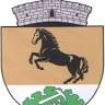 Primăria Gârnic