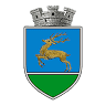 Piscina Ariniș