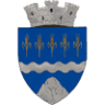 Primaria Orasului Piatra-Olt