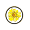 Primrose Framing
