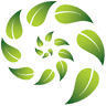 Princeton Montessori School