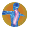 Principal Spine & Pain Consultants