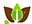 Proactive Lifestyle Ltd Tropical