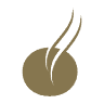 Tabadom Holding