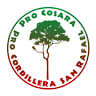 PRO COSARA - Oficina