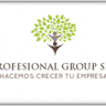 profesional group
