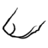 Tartufi Profumino