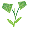 Pro Green Energy