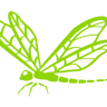 Project Dragonfly
