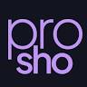 Pro Sho Sound Services Inc.