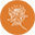 Protea Zero Waste Store