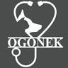 Veterinary Clinic Ogonek