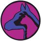 Pet Supplies 'N' More