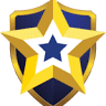 Public Safety Strategies Group
