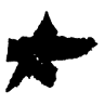 Pukas Surf Shop OUTLET