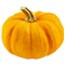 Pumpkin Picking Village