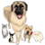 Dr. Ally's Animal Clinic of Punta Gorda (Animal Medical Clinic of Punta Gorda)