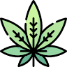 The CBD Dispensary