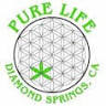 Pure Life Collective