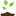 Pure Living Soil
