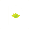 Purenergy Studio