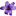 Purple Wildflour