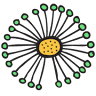 Pusteblume - Kindermode im individuellen Design