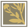 Palos Verdes Dermatology Associates
