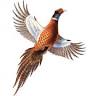 Pleasant Valley Hunting Preserve