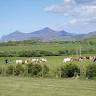 Pwllgoed Caravan Site