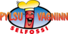 Pylsuvagninn