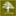 Quercus