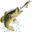 Bay Of Quinte Bait And Tackle
