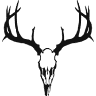 Rack Roidz