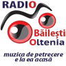 Piata Civica Bailesti