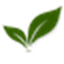 Rajski Staw