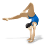 Raleigh School of Gymnastics