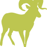 RAM Accounting & Consulting
