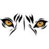 Ranthambore Safari Booking | Ranthambore Safari | Ranthambore Jungle Safari Booking | Ranthambore Jungle Safari