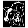 Cook Veterinary Clinic